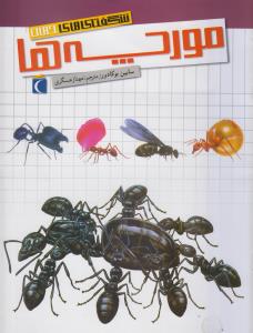 شگفتی‌های جهان: مورچه‌ها